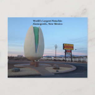World's Largest Pistachio Postcard