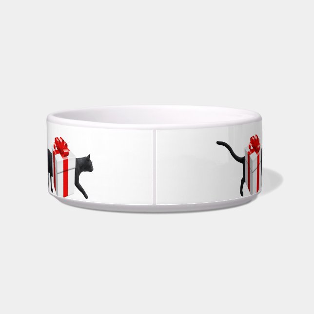 World's Longest Cat Bowl (Back)