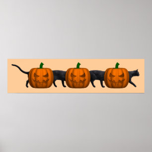 World's Longest Cat Poster