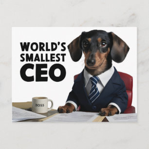 World's smallest CEO, cute funny dachshund in suit Postcard