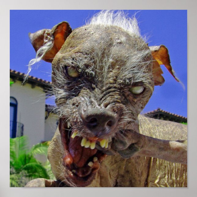 World's Ugliest Dog Poster (Front)