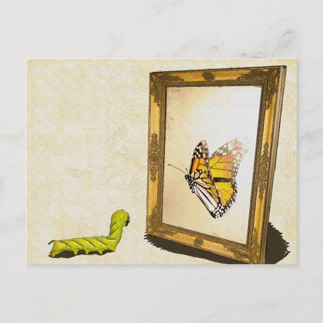 Worm and the Mirror! Postcard (Front)
