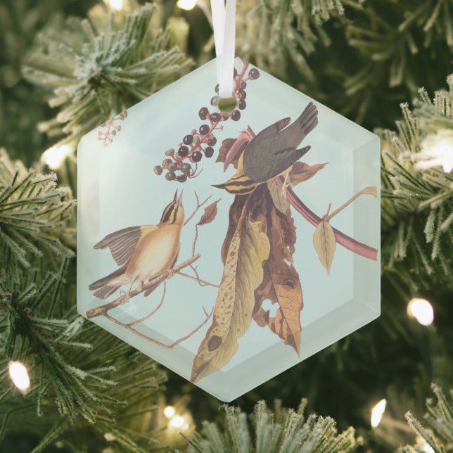 Worm-Eating Warbler Audubon songbird Glass Ornament (Insitu)