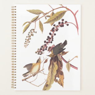 Worm-Eating Warbler Audubon songbird Planner