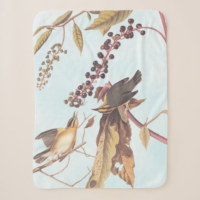 Worm-Eating Warbler Audubon songbird Sherpa Blanket (Front)