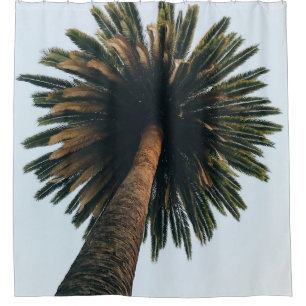 Worm eye photography of palm tree