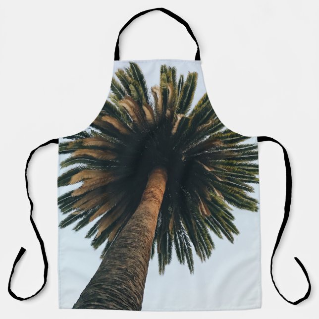 Worm eye photography of palm tree apron (Front)