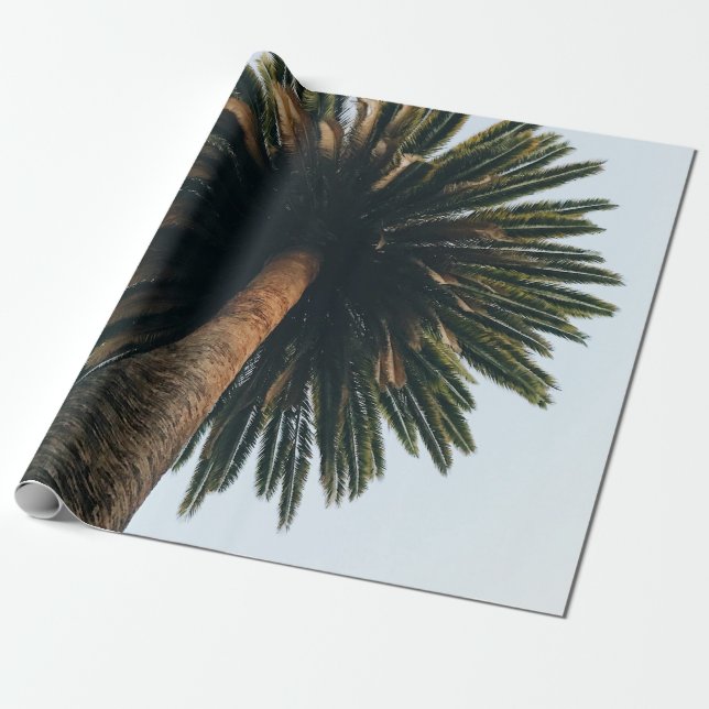Worm eye photography of palm tree wrapping paper (Unrolled)