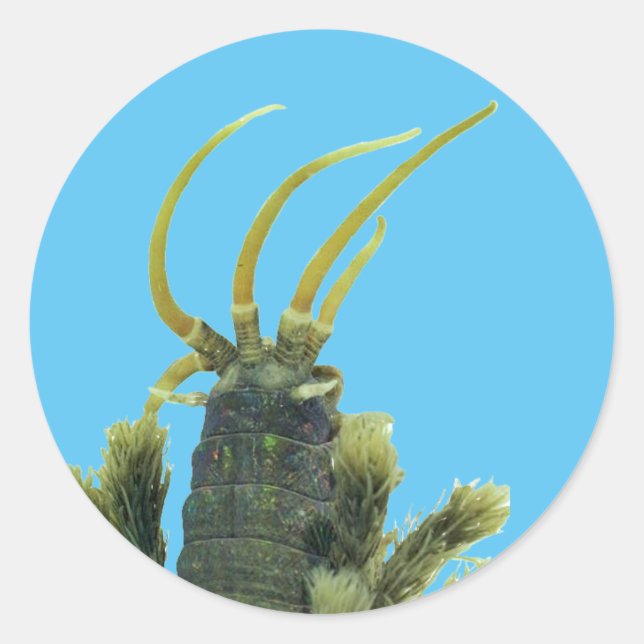 Worm Sticker 1 (Front)