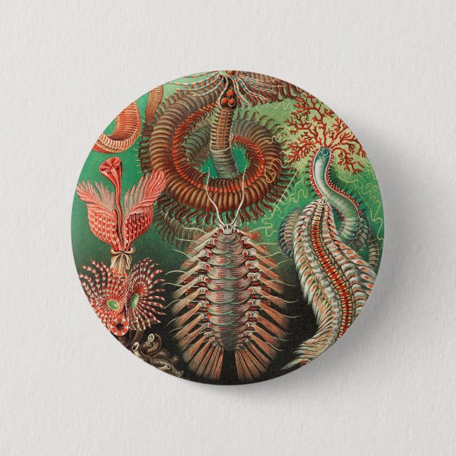 Worms, Annelids Chaetopoda by Ernst Haeckel 2 Inch Round Button (Front)