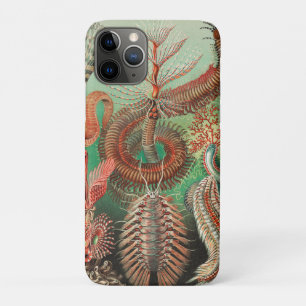 Worms, Annelids Chaetopoda by Ernst Haeckel iPhone 11 Pro Case