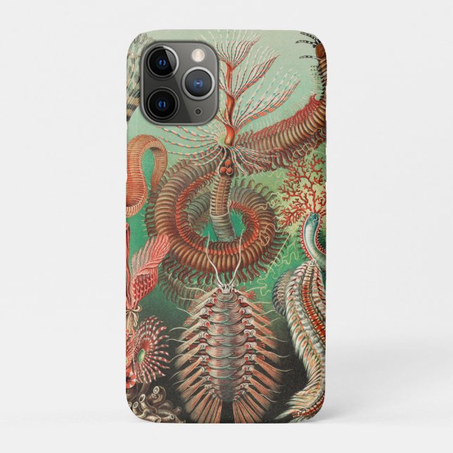 Worms, Annelids Chaetopoda by Ernst Haeckel Case-Mate iPhone Case (Back)
