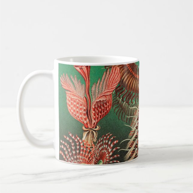 Worms, Annelids Chaetopoda by Ernst Haeckel Coffee Mug (Left)