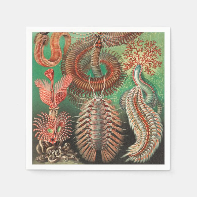 Worms, Annelids Chaetopoda by Ernst Haeckel Napkin (Front)