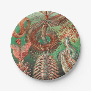 Worms, Annelids Chaetopoda by Ernst Haeckel Paper Plate