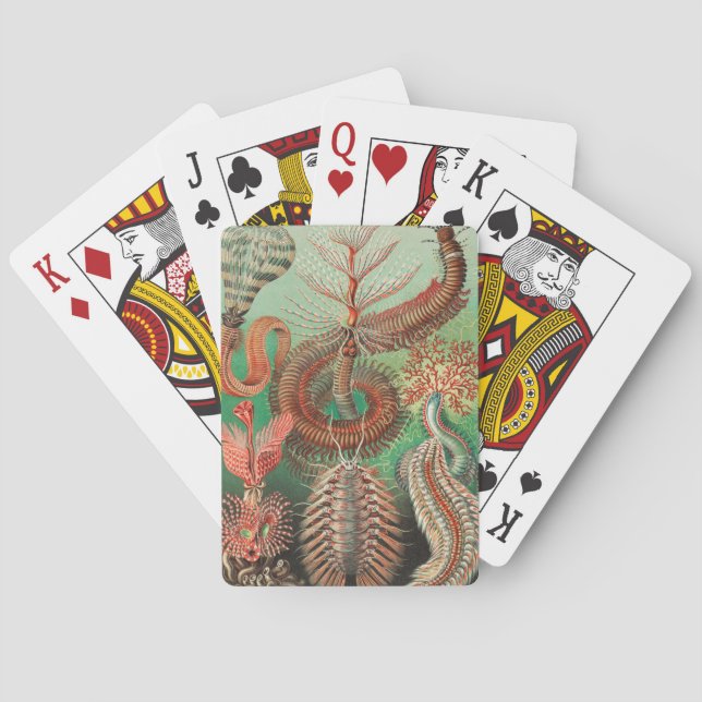 Worms, Annelids Chaetopoda by Ernst Haeckel Playing Cards (Back)