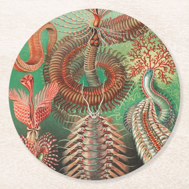 Worms, Annelids Chaetopoda by Ernst Haeckel Round Paper Coaster (Front)