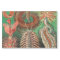 Worms, Annelids Chaetopoda by Ernst Haeckel