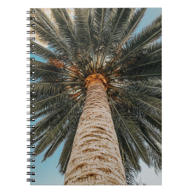 Worm's eye view of a coconut tree notebook (Front)