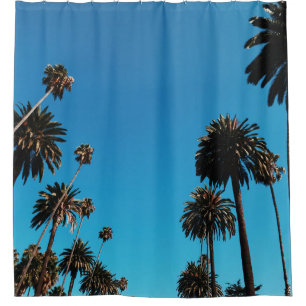 Worm's eye view of trees