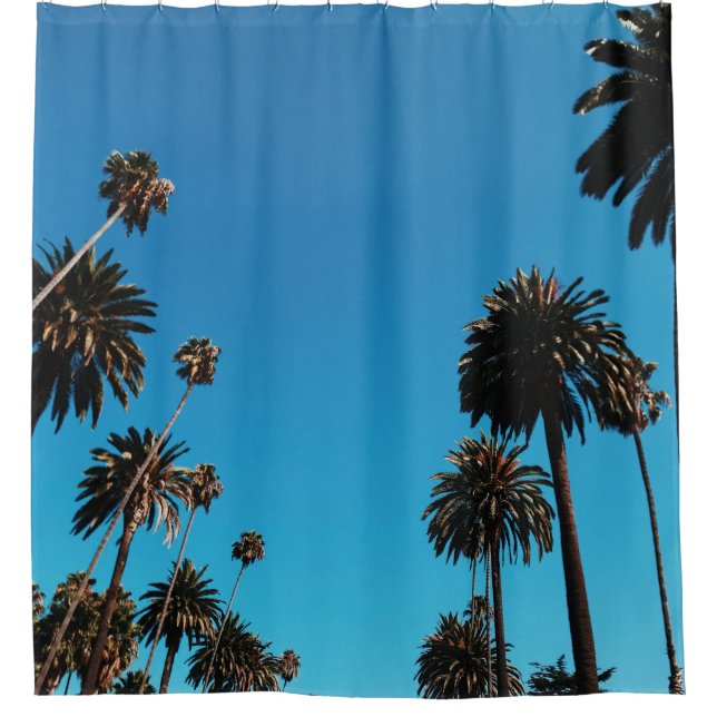 Worm's eye view of trees (Front)