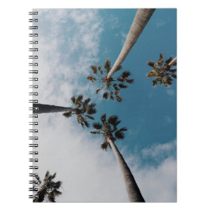 Worms eyeview photography of coconut trees notebook