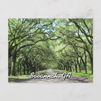 Wormsloe Plantation Savannah Postcard