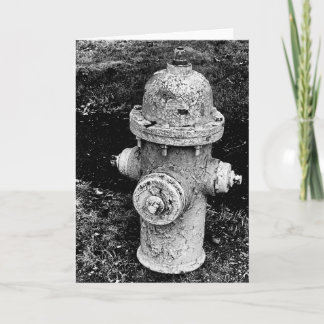 Worn Chipped Rusty Old Fire Hydrant Photo Card