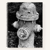 Worn Chipped Rusty Old Fire Hydrant Photograph