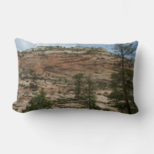 Worn Rock Walls in Zion National Park Lumbar Pillow
