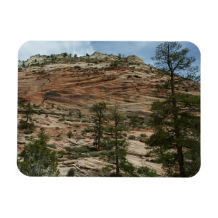 Worn Rock Walls in Zion National Park Magnet