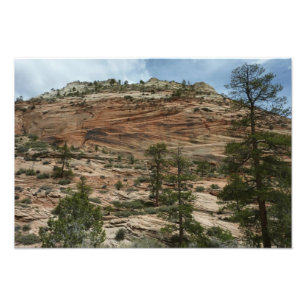 Worn Rock Walls in Zion National Park Photo Print
