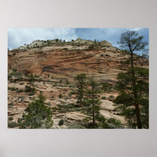 Worn Rock Walls in Zion National Park Poster