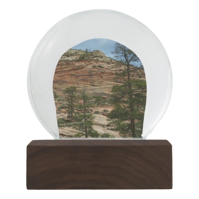 Worn Rock Walls in Zion National Park Snow Globe (Front)
