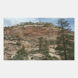 Worn Rock Walls in Zion National Park Sticker