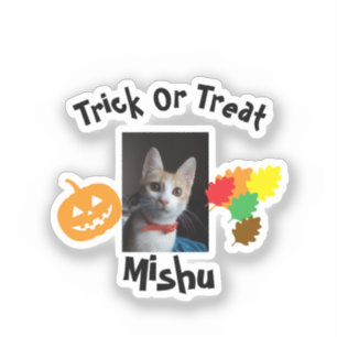 Worry Ginger Cat, Photo Name, Customize, Halloween