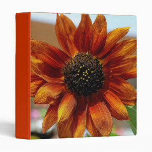 Worship The Sun - Designer Binder