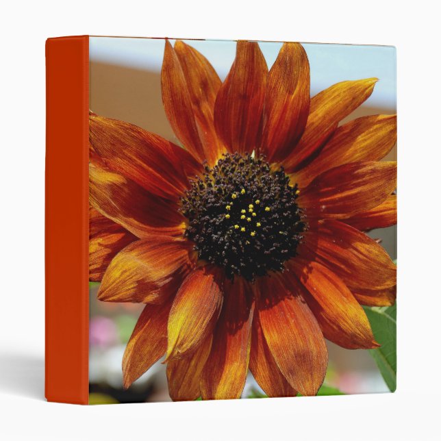 Worship The Sun - Designer Binder (Front/Spine)