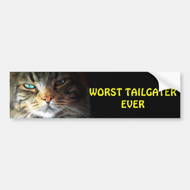 Worst Tailgater Ever Bumper Cat Sticker (Front)