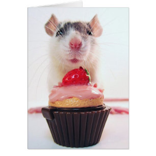 Would Yous Likes a Candy?