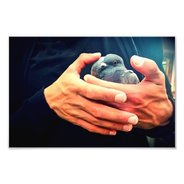 Wounded Bird Photo Print (Front)