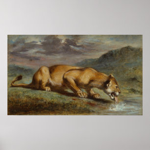 Wounded Lioness Poster