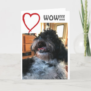 **WOW** AND **WHOO WHO** IT IS YOUR BIRTHDAY CARD