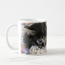 Wow, je vous admire ! Mug à café avec chat