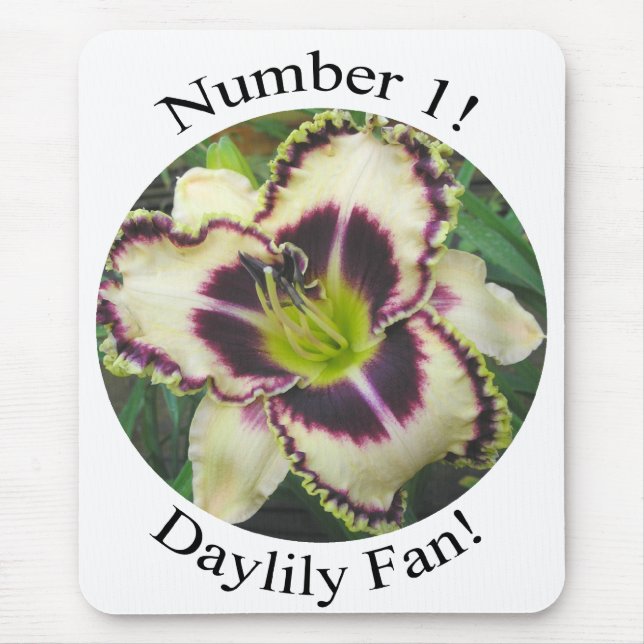 Wow! What a Mousepad! Mouse Pad (Front)