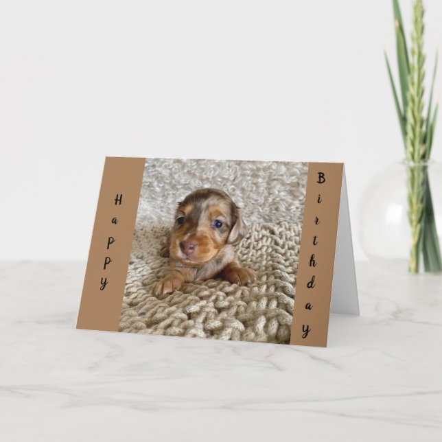 WOW YOU ARE **16** SAYS CUTE PUPPY CARD (Front)
