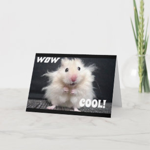 WOW YOU ARE **60** SAYS COOL HAMSTER CARD