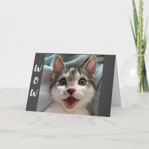 WOW YOU TURNING ""16"" DIT CARTE CAT