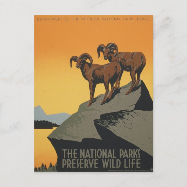 WPA Vintage National Parks Wildlife Travel Postcard (Front)