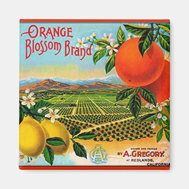 WQ MAGNET : Étiquette de fleur orange (Devant)